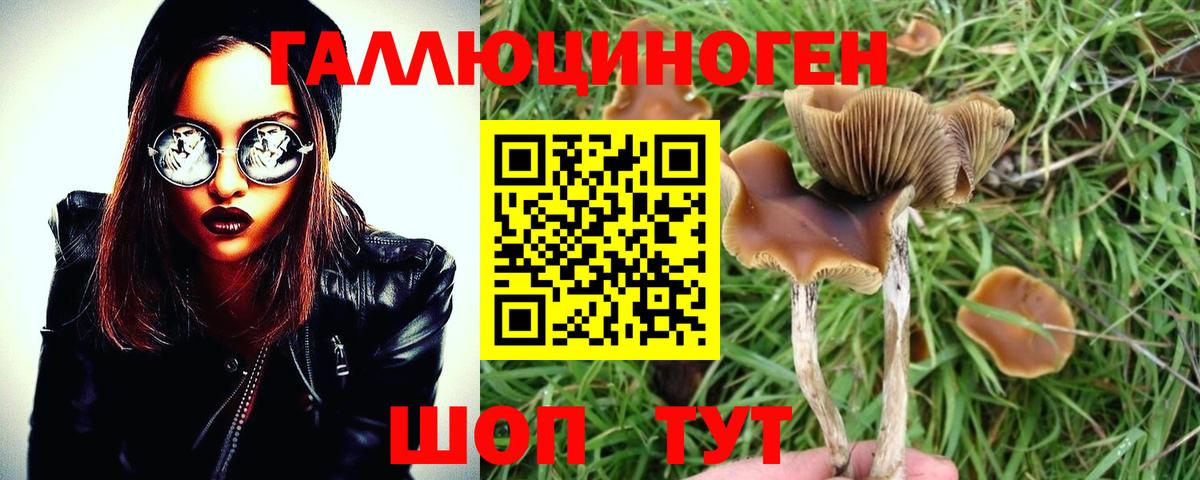Галлюциногенные грибы мухоморы Павловский Посад