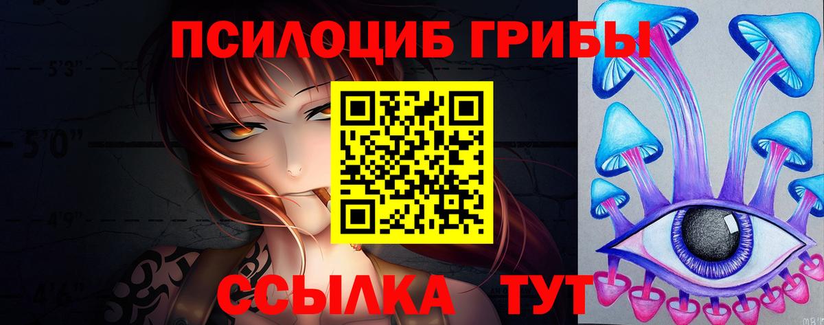 Псилоцибиновые грибы GOLDEN TEACHER  Вход с VPN  наркошоп  Галлюциногенные грибы Cubensis  Павловский Посад 
